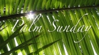 palm-sunday